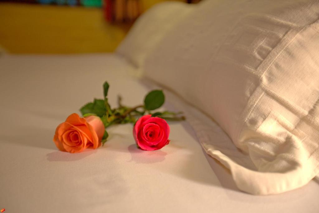 Hacienda La Carriona Otel Sangolquí Dış mekan fotoğraf