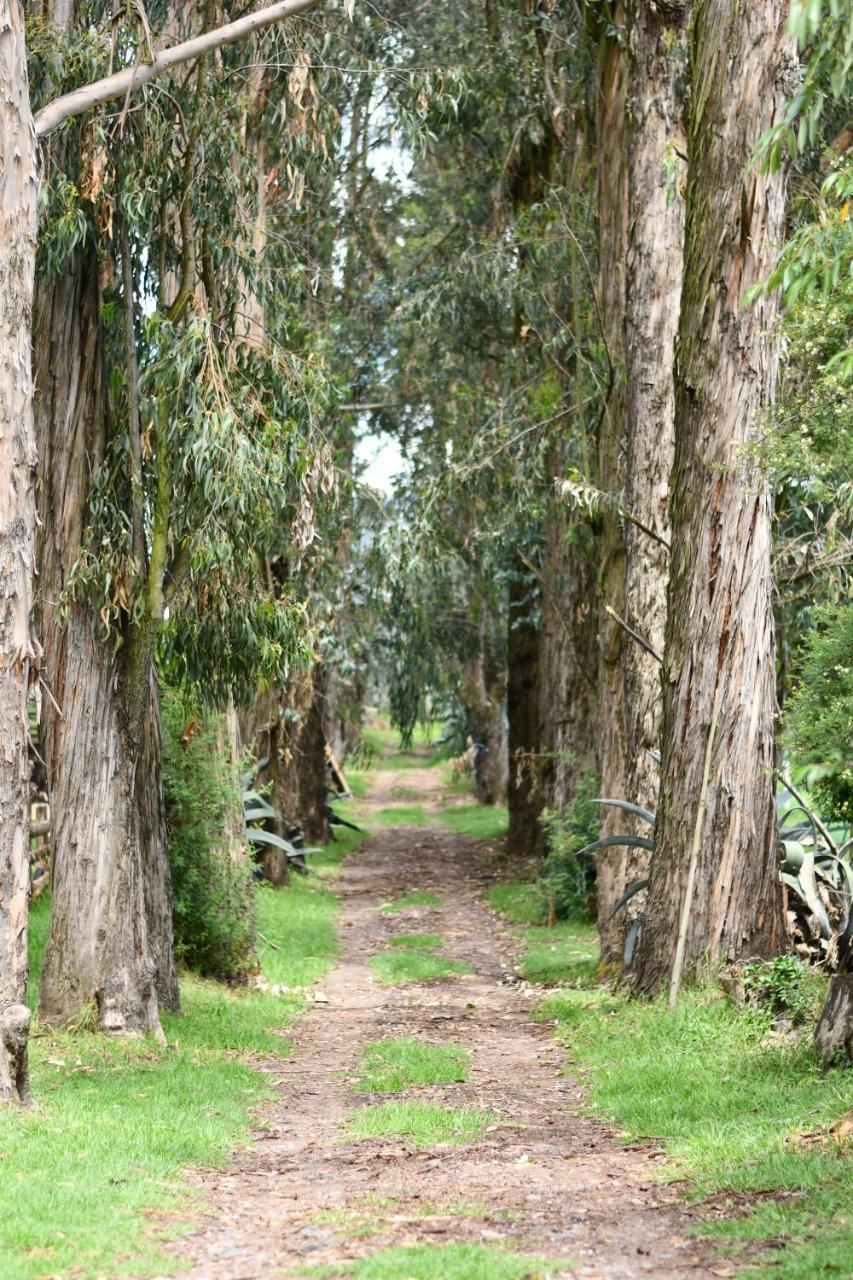 Hacienda La Carriona Otel Sangolquí Dış mekan fotoğraf